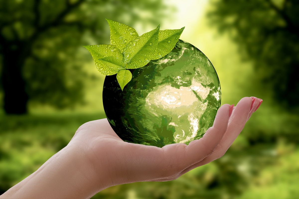 Mundo sostenible Pixabay